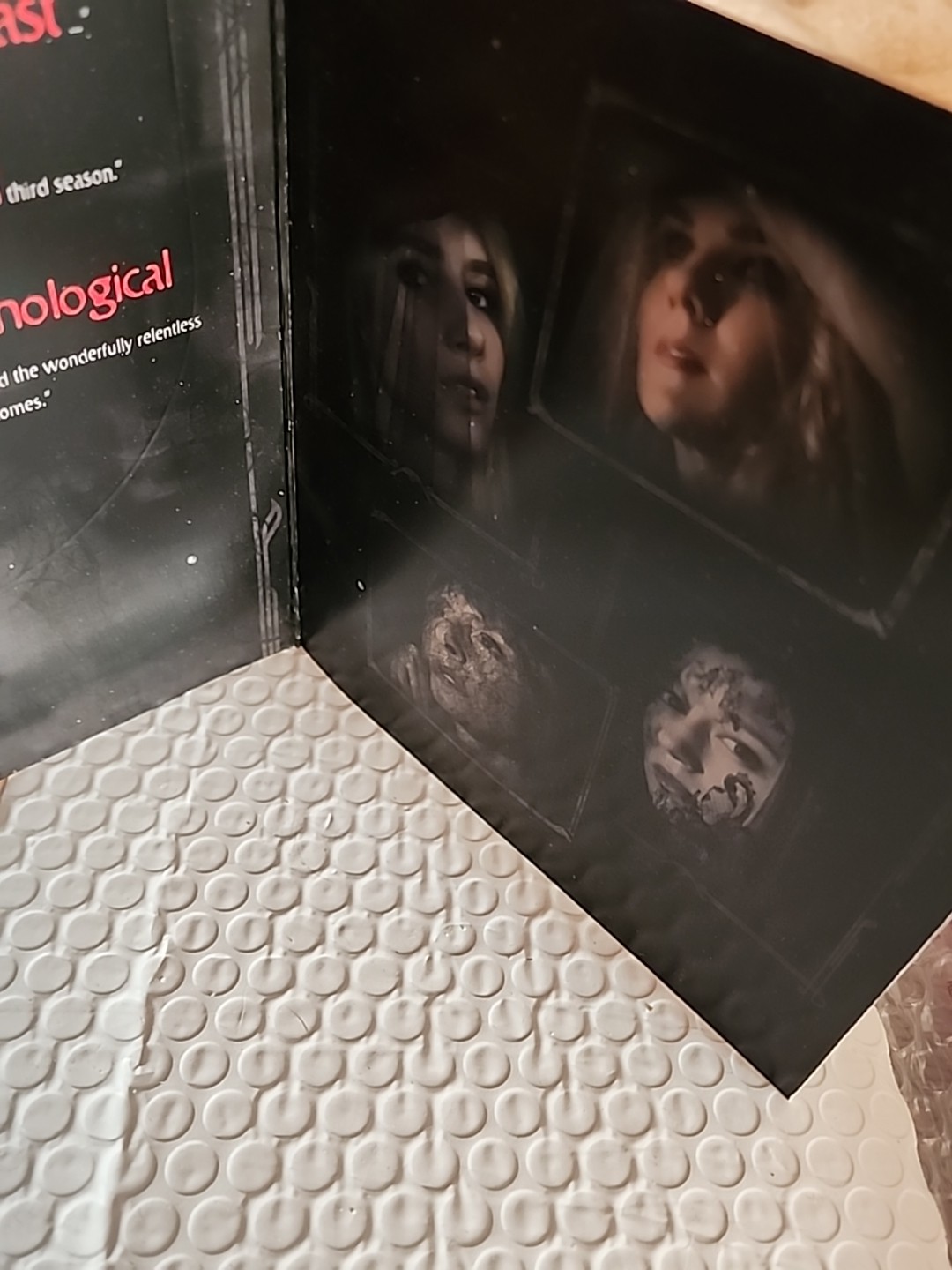 2014 AMERICAN HORROR STORY COVEN 2 EPS PROMO EMMY FYC DVD EVAN PETERS Bitchcraft