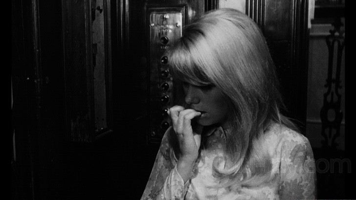 Repulsion – Criterion Blu-ray, 1965) Catherine Deneuve – Roman Polanski