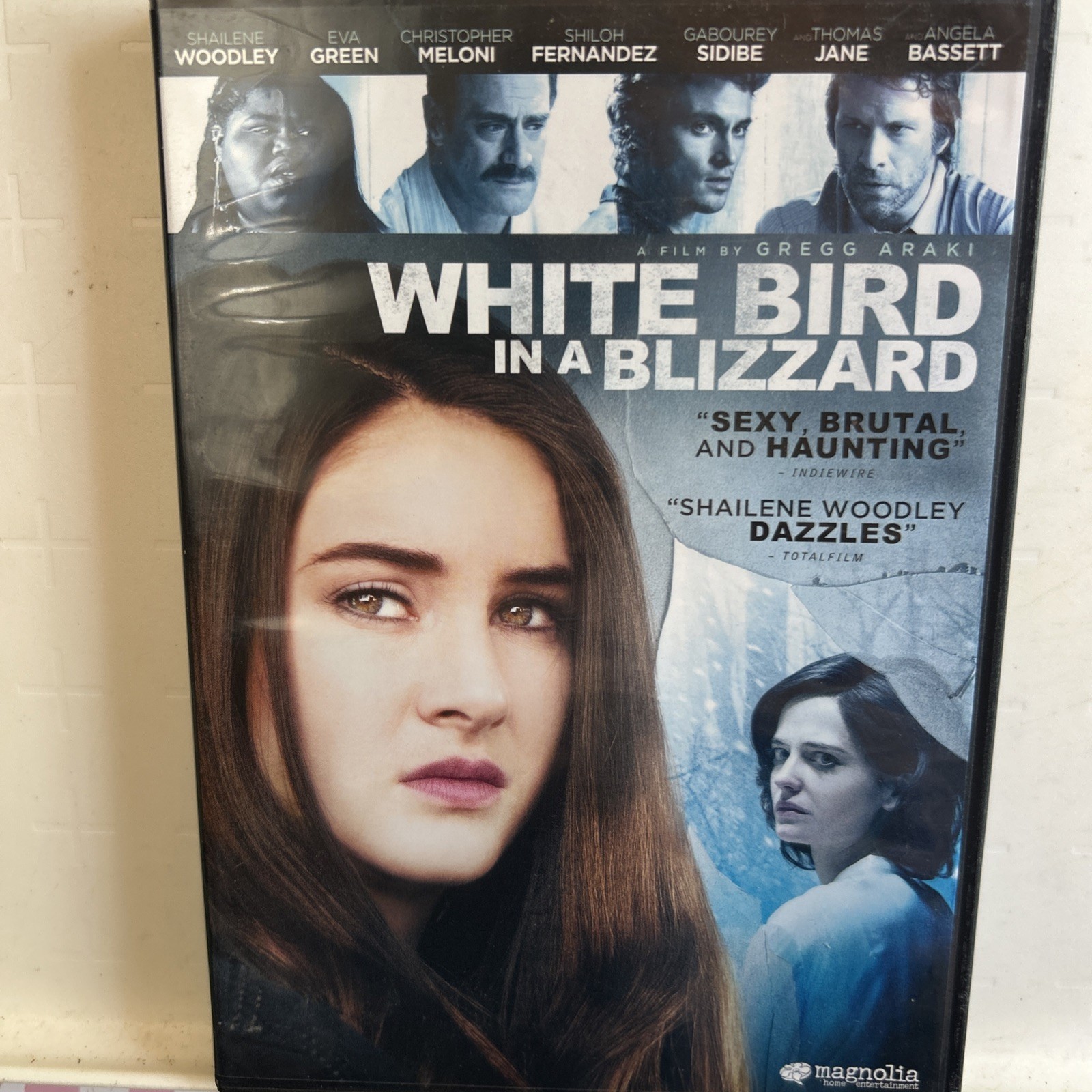 White Bird in a Blizzard (DVD, 2014)