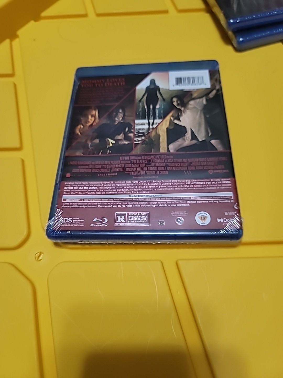 Evil Dead Rise (Blu-ray, 2023)