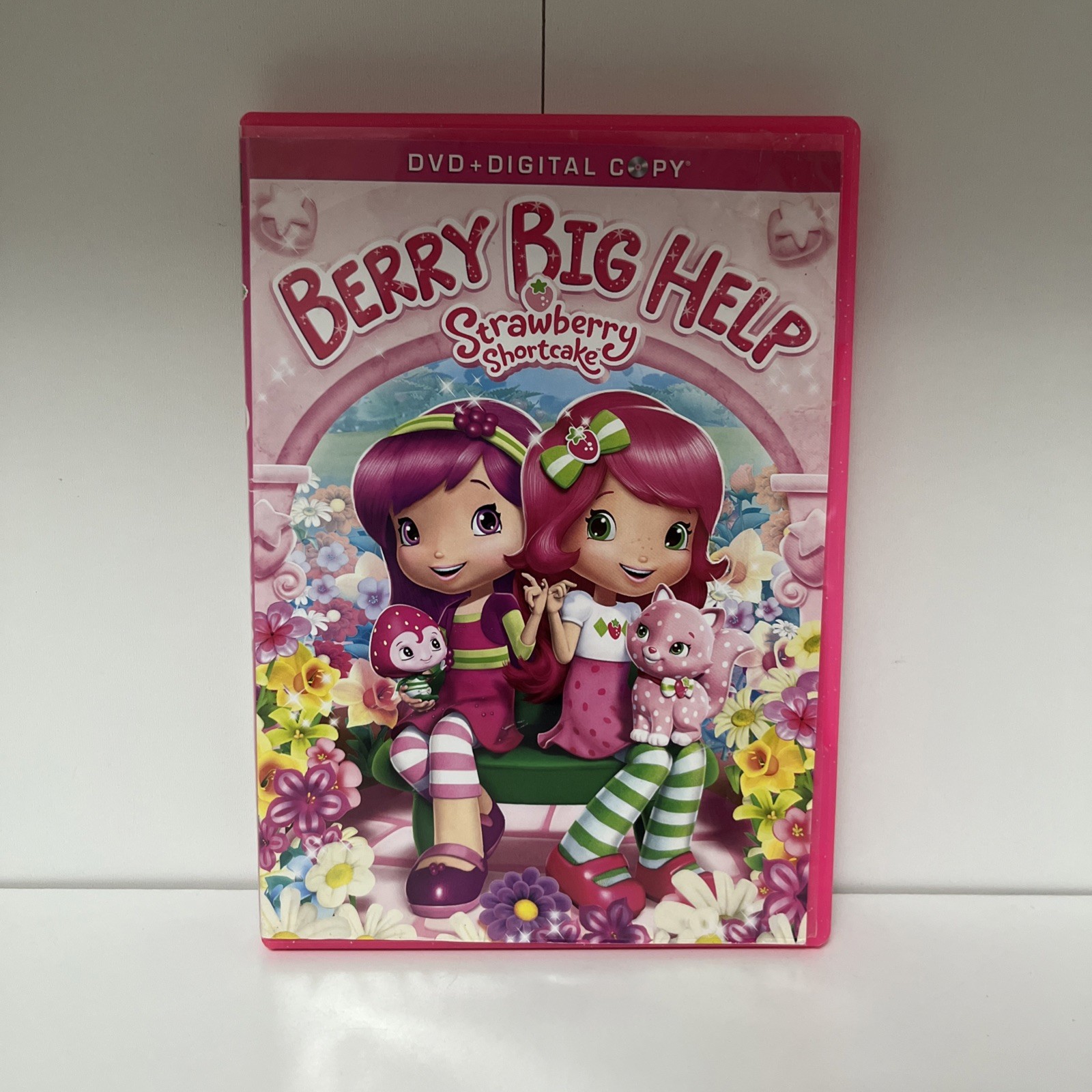 Strawberry Shortcake Berry Big Help DVD Good Condition DVD