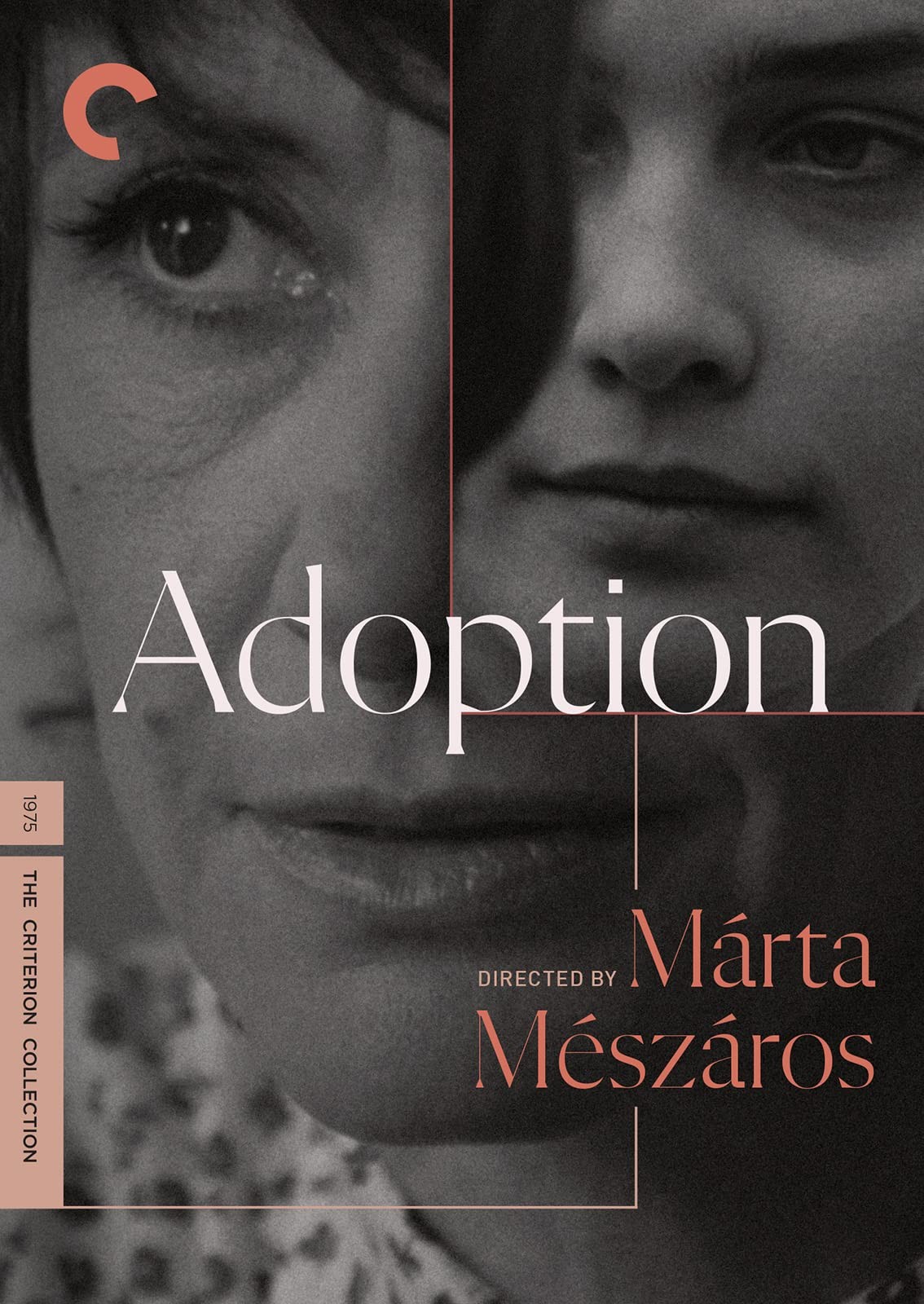 Adoption (The Criterion Collection) (DVD) Péter Fried Kati Berek Laszlo Szabo