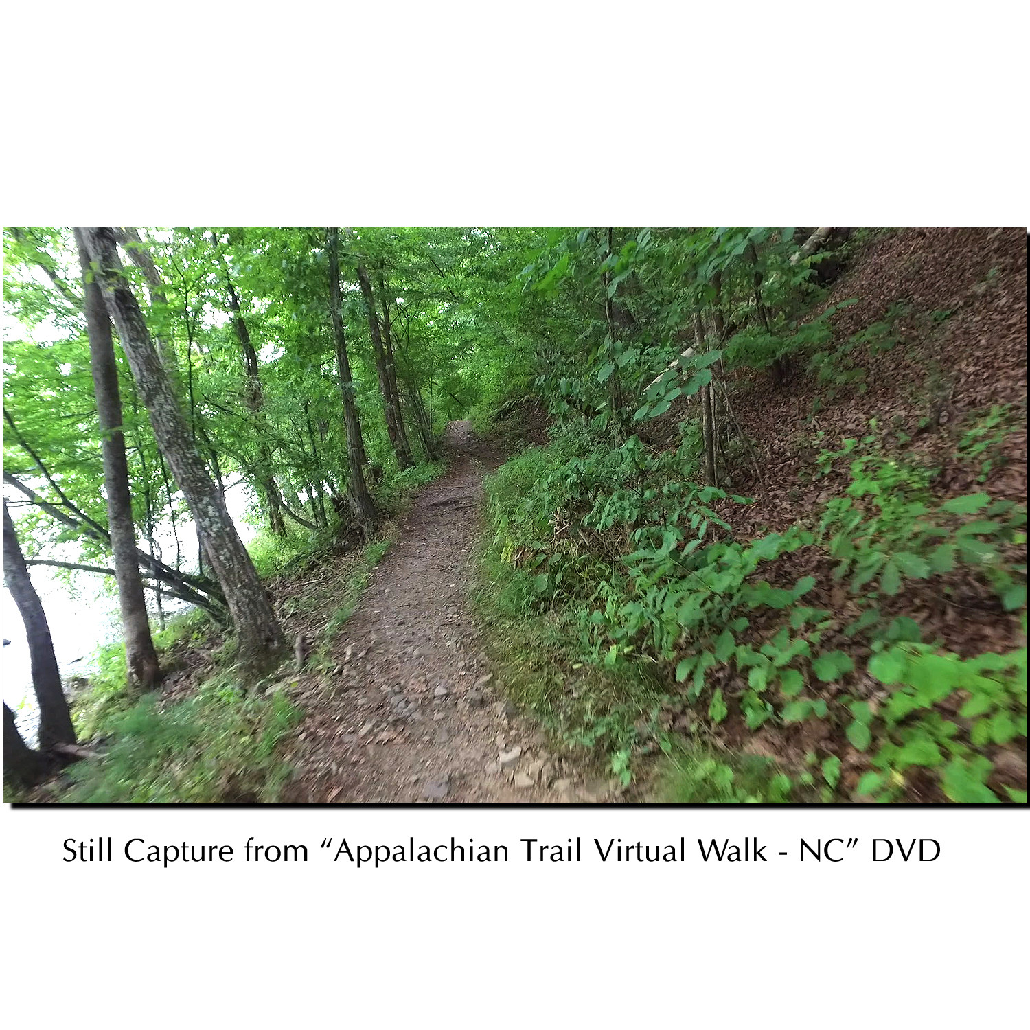 APPALACHIAN TRAIL NATURE TREADMILL WALK SCENERY DVD VIDEO – EXERCISE WALKING