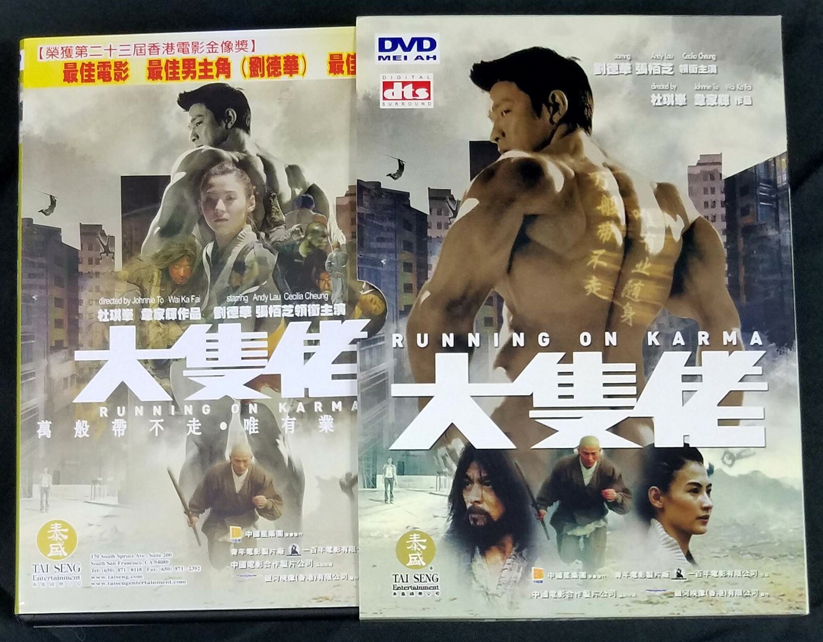 RUNNING ON KARMA, All-Region Hong Kong Andy Lau, Cecilia Cheung Film DVD, 大隻佬