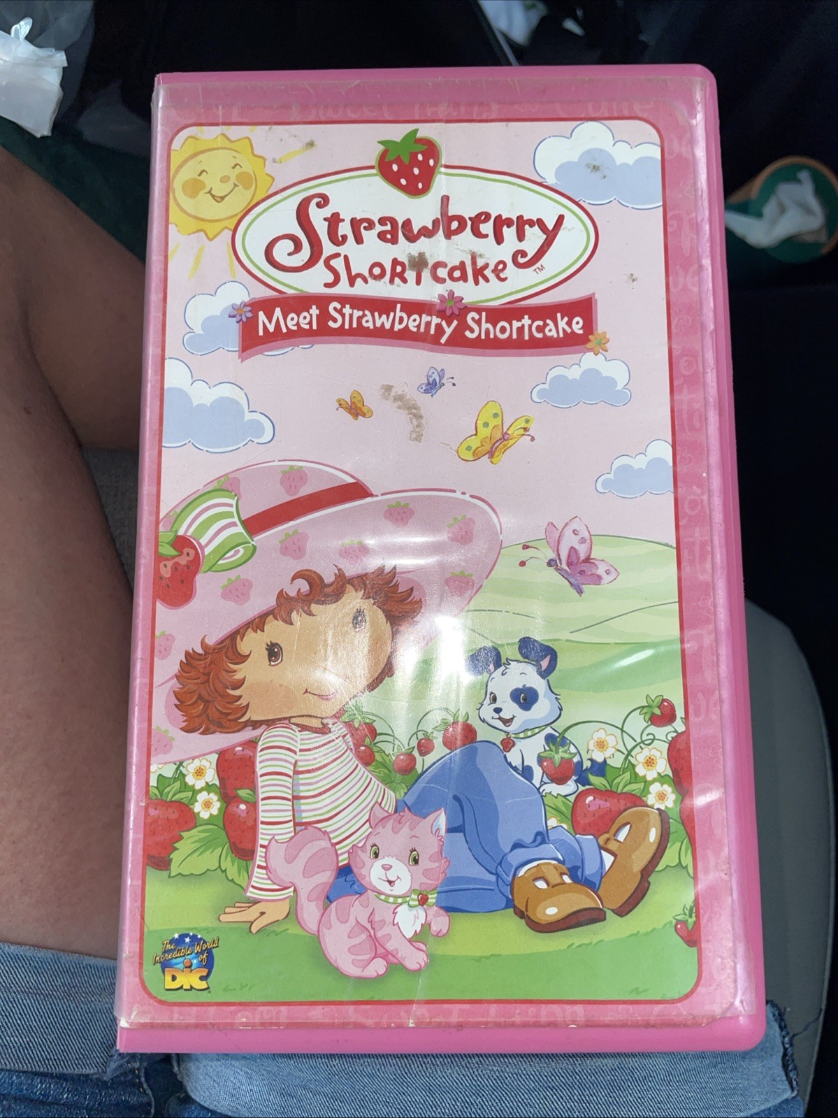 Strawberry Shortcake – Meet Strawberry Shortcake (VHS, 2003)