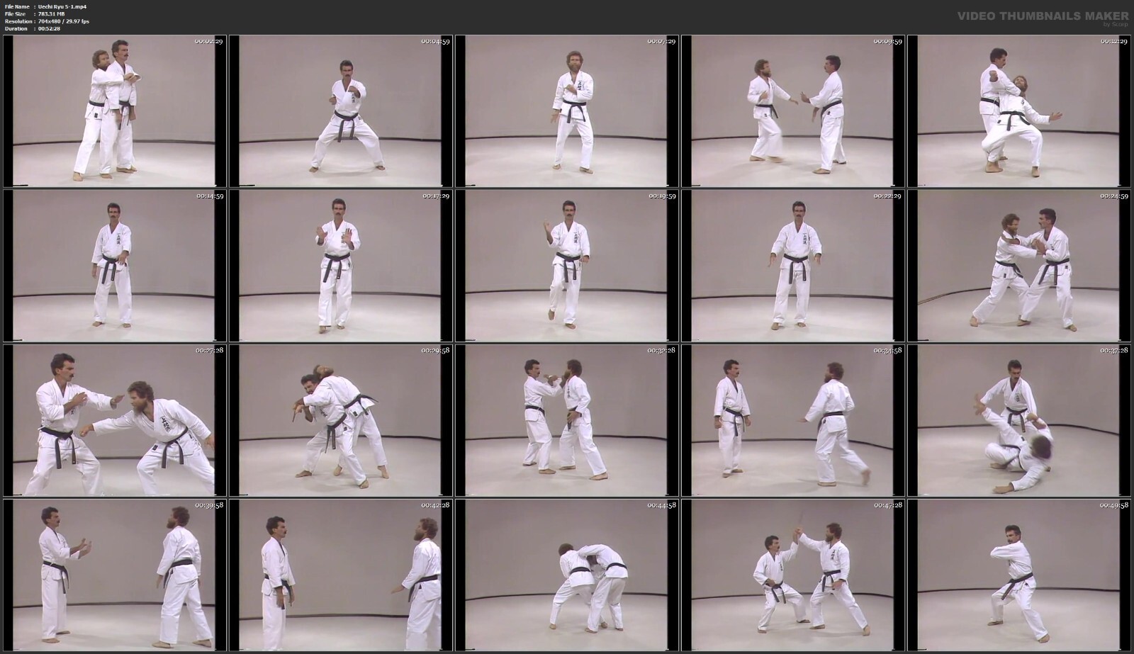 Okinawan Uechi Ryu Karate starring Rod Mindlin (8 DVD Set)