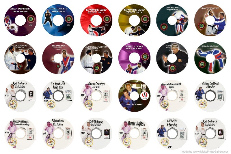 24 Awesome Self Defense Martial Arts DVDS for $159.00 Free Shipping Best Value
