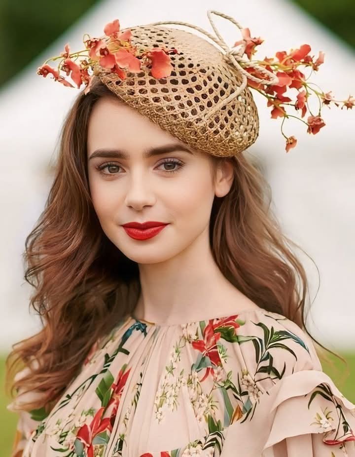 Stuck in Love and 3 Other Lily Collins Films – Brand New DVDs