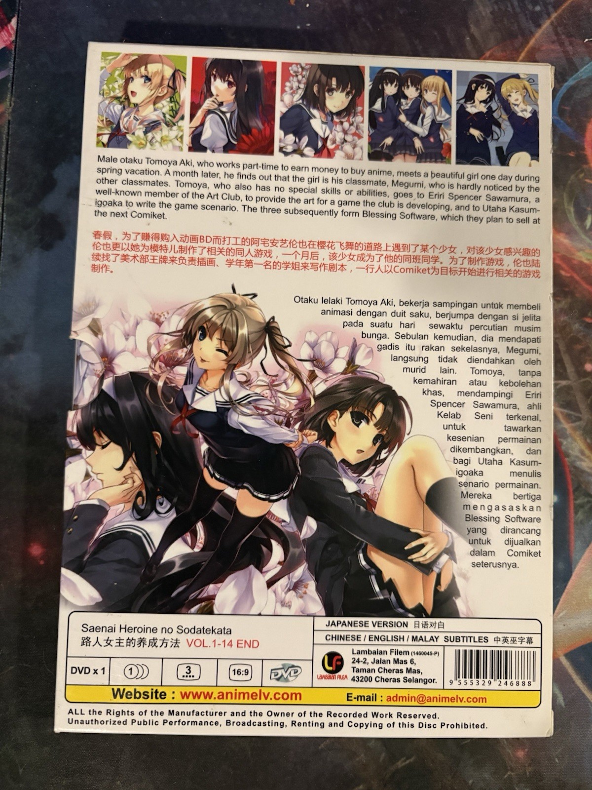 Saekano (VOL.1 – 14 End) Anime DVD – English Subtitle – US Seller