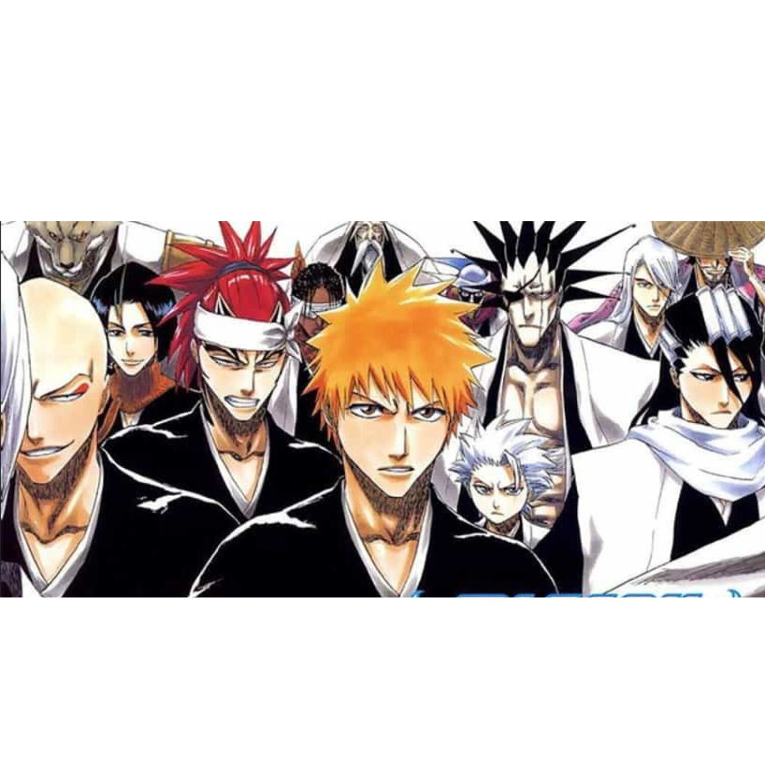 Dvd Bleach Anime Series English Dubbed Box Set Episode 1-366 End + 4 Movie