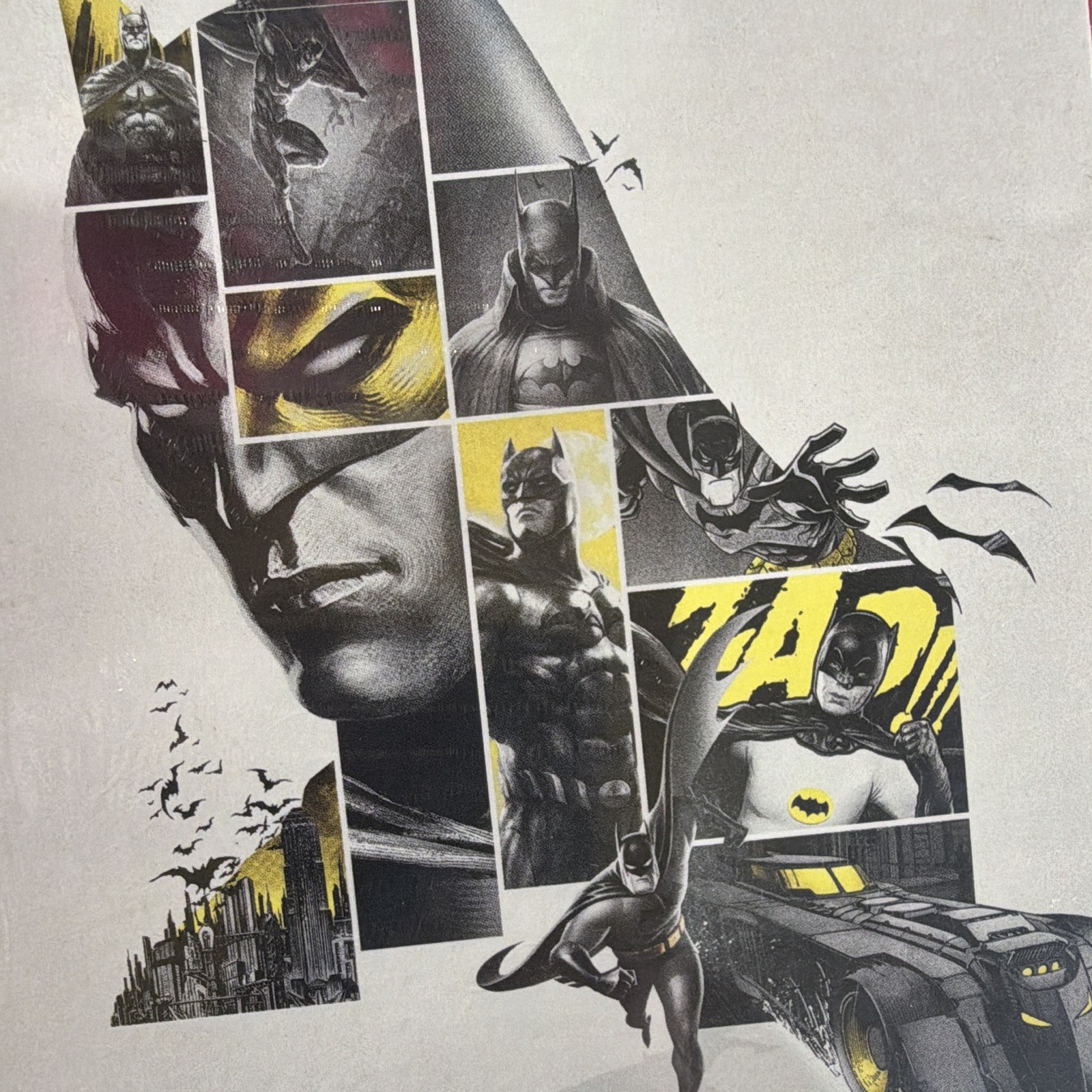 Batman DC 80th Anniversary 18-Film Collection DVD SET