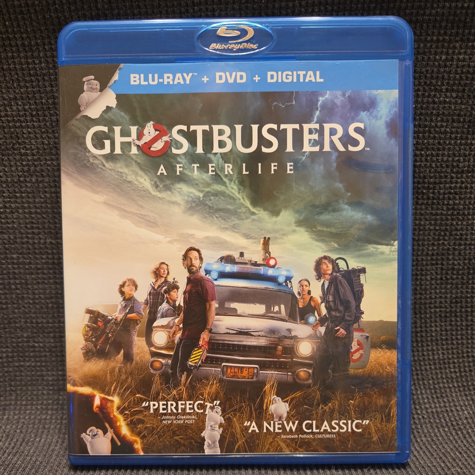 GHOSTBUSTERS and GHOSTBUSTERS: AFTERLIFE – Bill Murray, Dan Aykroyd, Paul Rudd