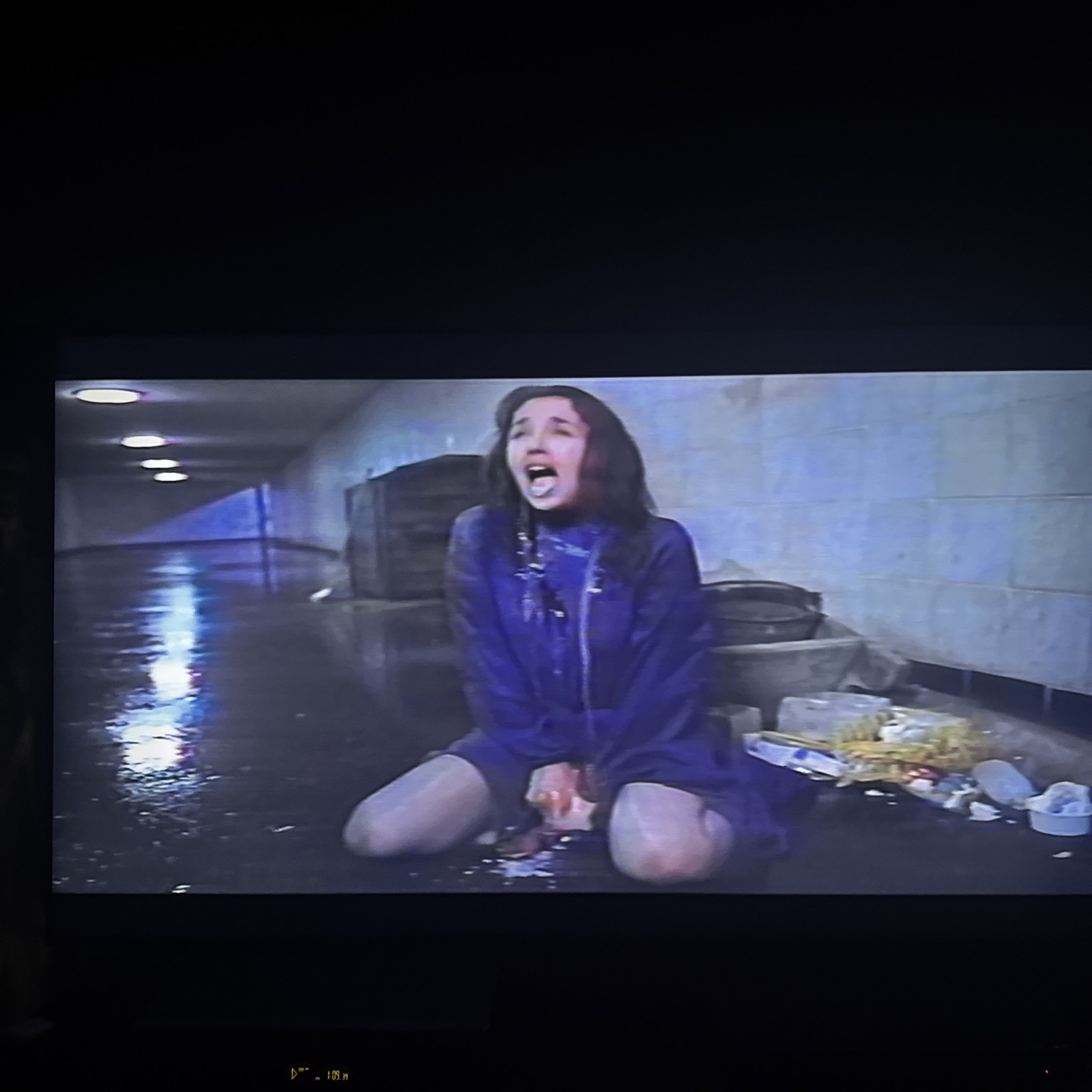 Possession (1980) VHS Japanese /123 min Cut