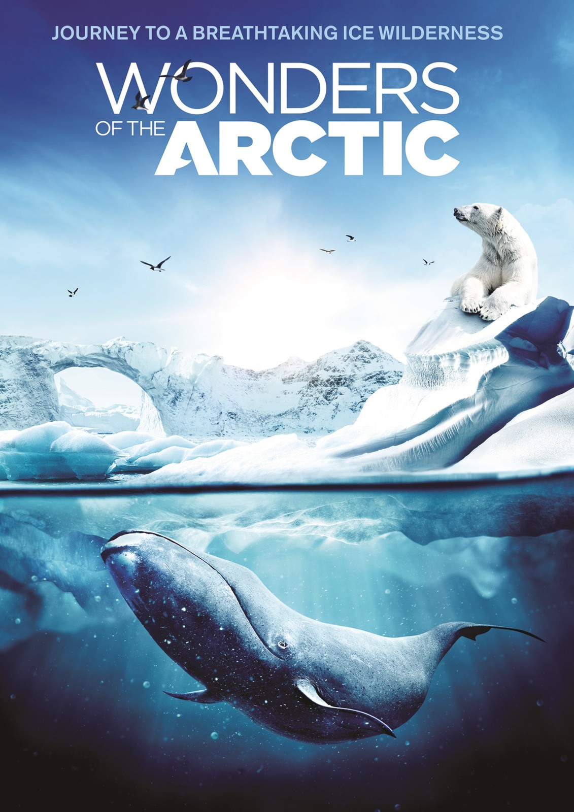 WONDERS OF THE ARCTIC