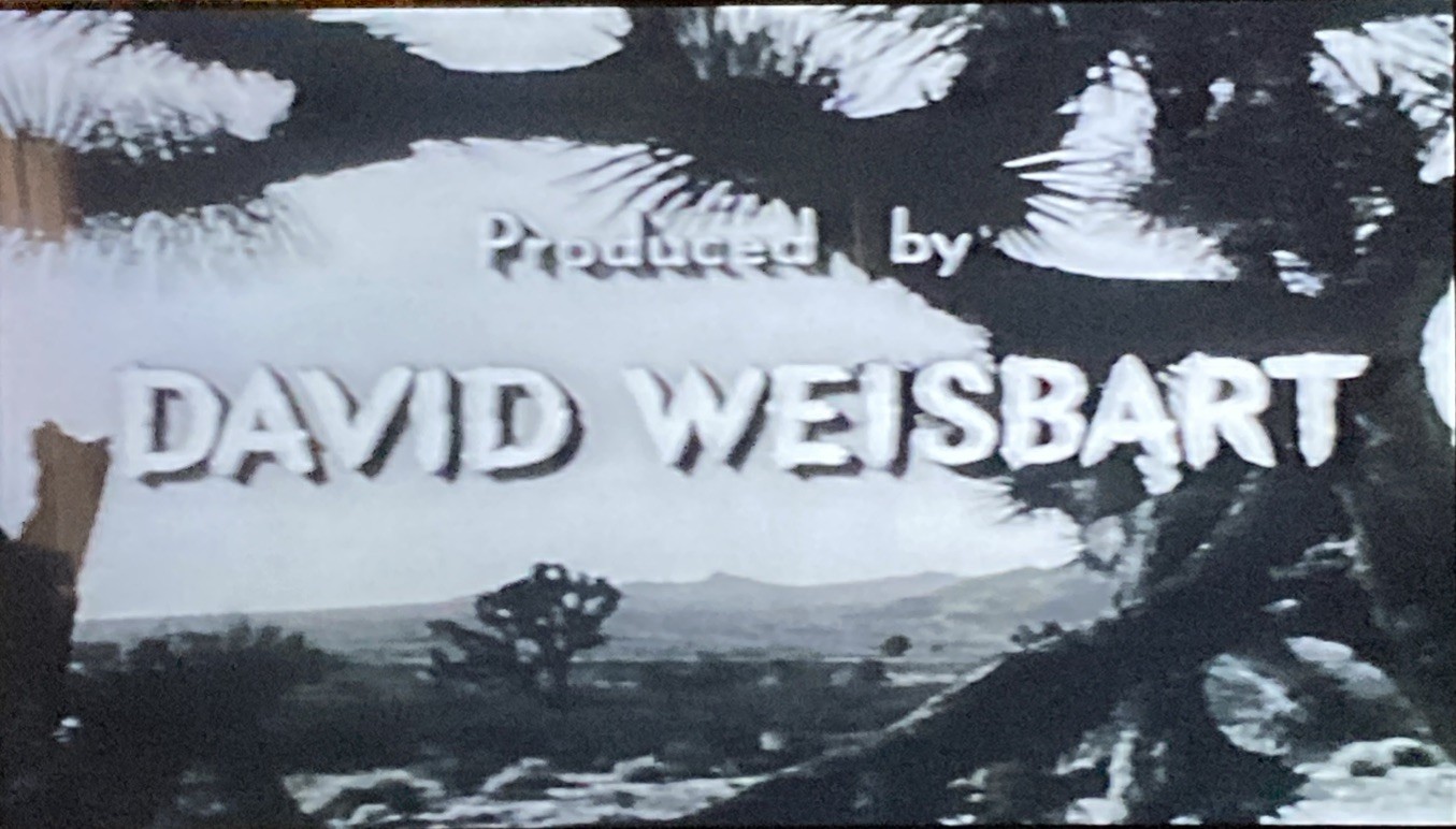 Them-Movie 1982/1954 VHS 11191 Warner Home Video B&W Dolby Noise Reduction, Rare