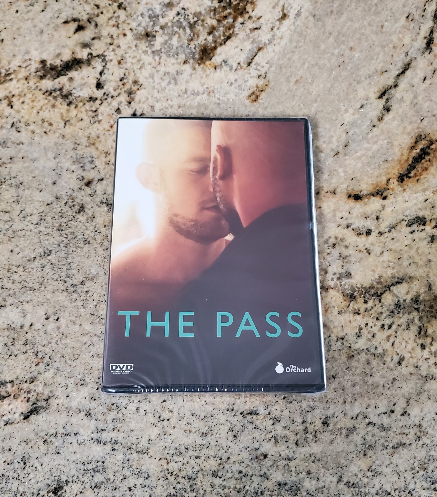 THE PASS DVD RARE GAY MALE INTEREST SOCCER CLUB SECRETS KISSING MEN DRAMA NEW 🌈