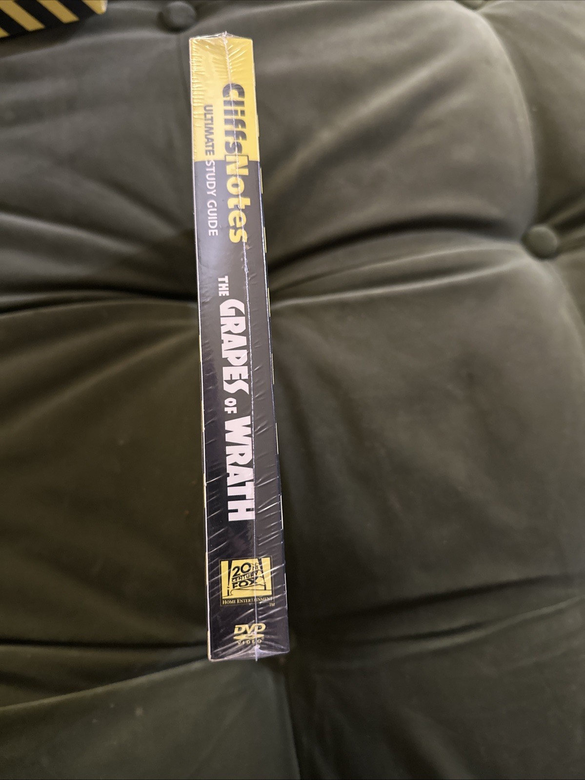 THE GRAPES OF WRATH Henry Fonda Jane Darwell, John Steinbeck, Cliff Notes & DVD