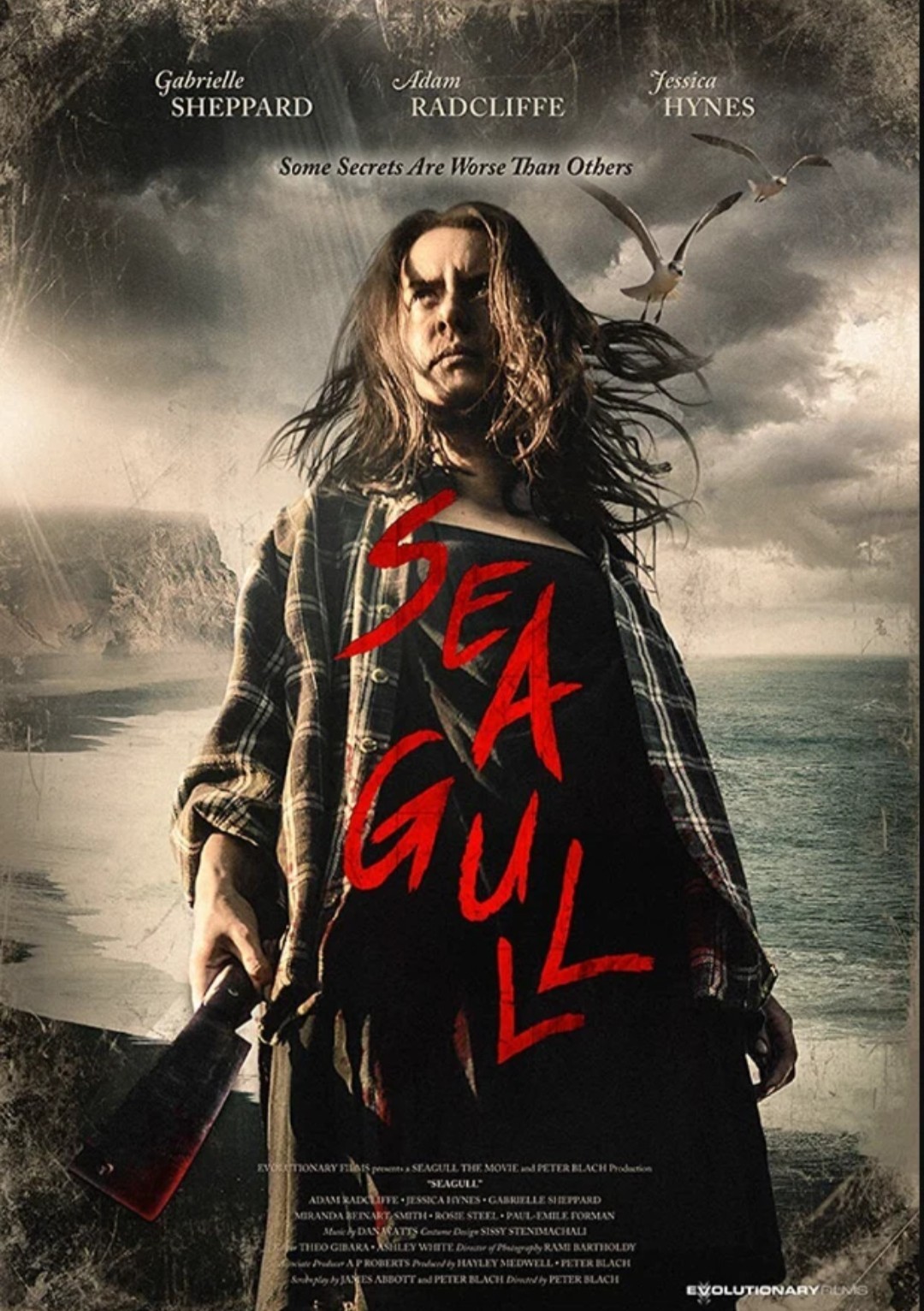 SEAGULL (Horror) DVD Disc Only FREE SHIPPING