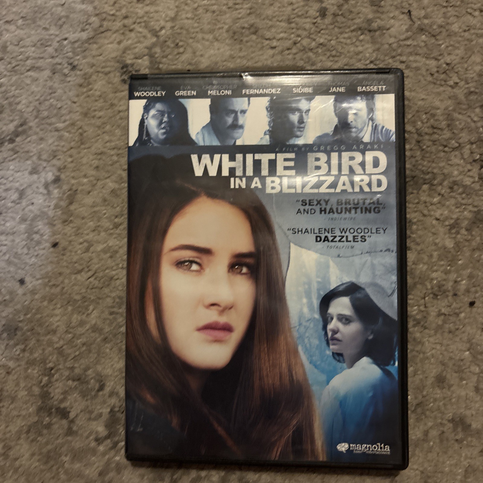 White Bird in a Blizzard
