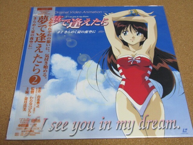 Anime If We Meet In A Dream 2 Out Of Print 1998 Columbia Noriyuki Yamaka Shue LD