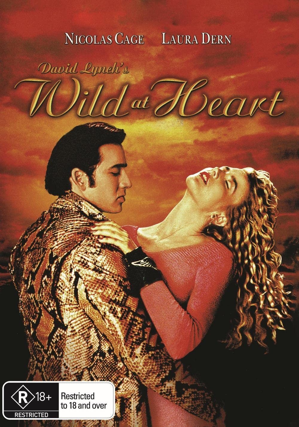 Wild at Heart (DVD) (UK IMPORT)