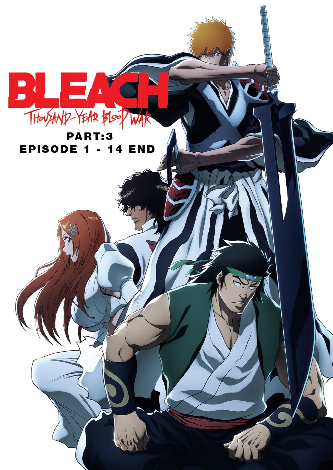 BLEACH : THOUSAND-YEAR BLOOD WAR (PART 3) – DVD (1-14 EPS) ENG DUB, SHIP FROM US