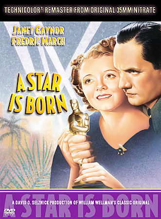 A Star Is Born (DVD, 2004) Disc Only