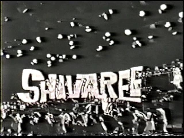 SHIVAREE COMPLETE SERIES ON DVD 13 DISCS, NOT STUFFED ON THREE 125+ SOLD