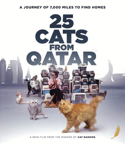 25 Cats from Qatar [New Blu-ray]