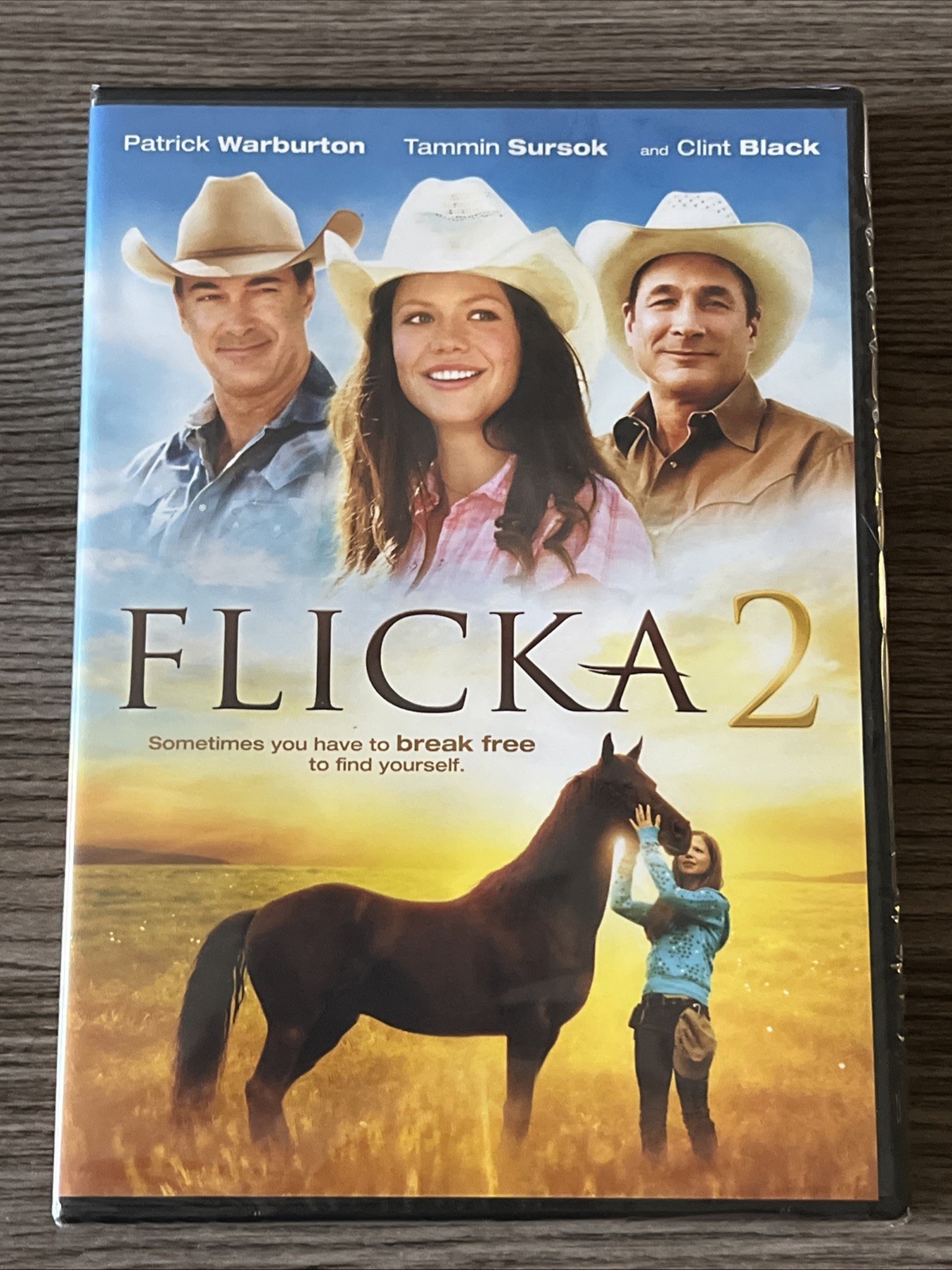 FLICKA 2 – Patrick Warburgon Clint Black DVD NEW/SEALED | B2G1FREE!