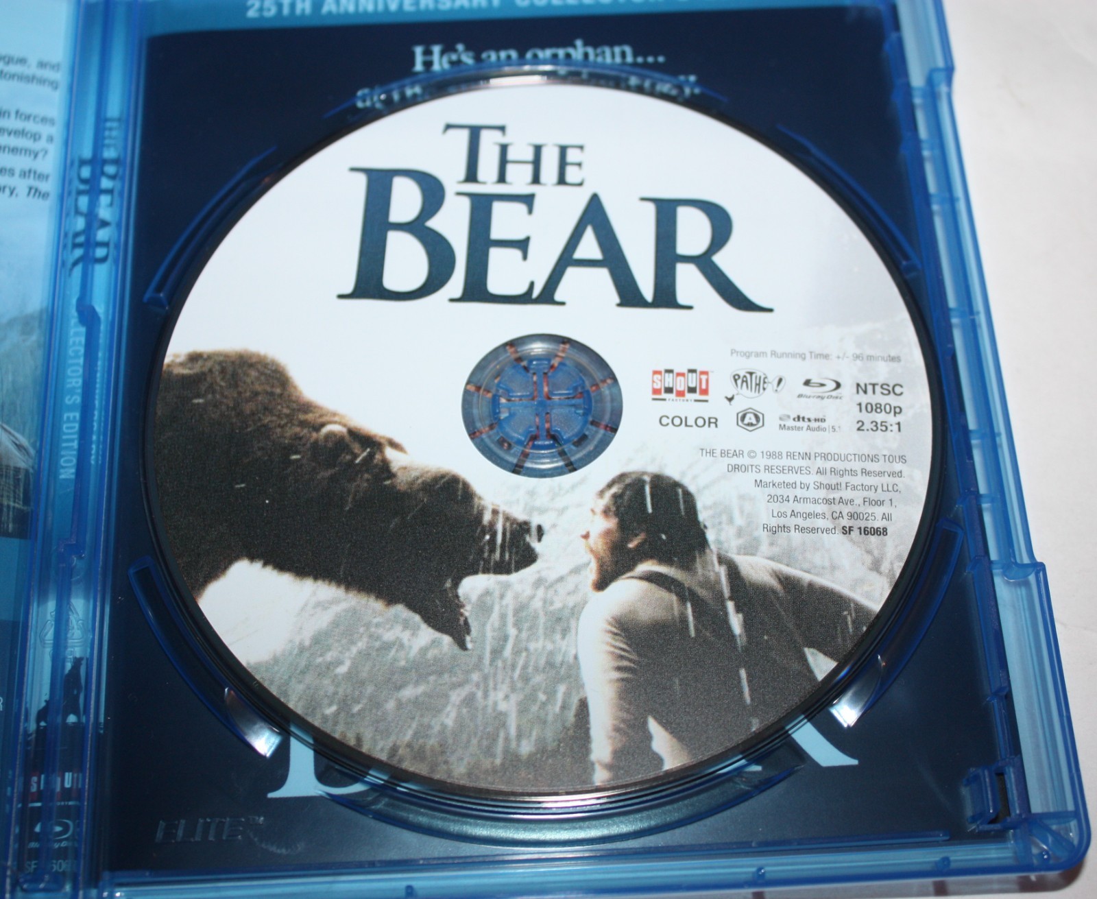 The Bear (Blu-Ray 1988 Film) 25th Anniversary Collector’s Edition Shout Factory
