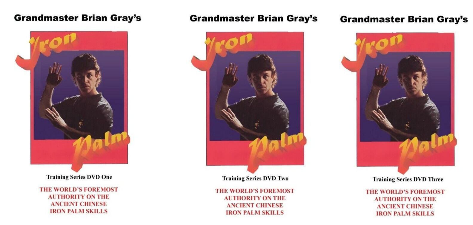 3 DVD Set Kung Fu Iron Palm Training a Complete Course by GrandMaster Brian Gray