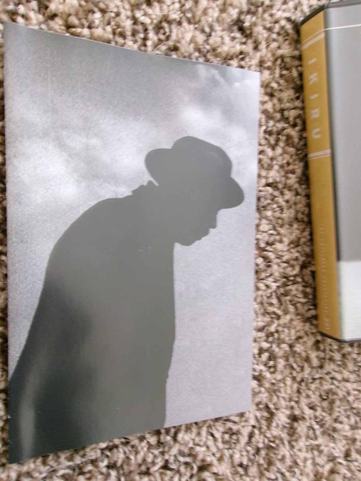 4 Kurosawa films: Ikiru, Red Beard, Bad Sleep Well, Stray Dog, Criterion DVDs