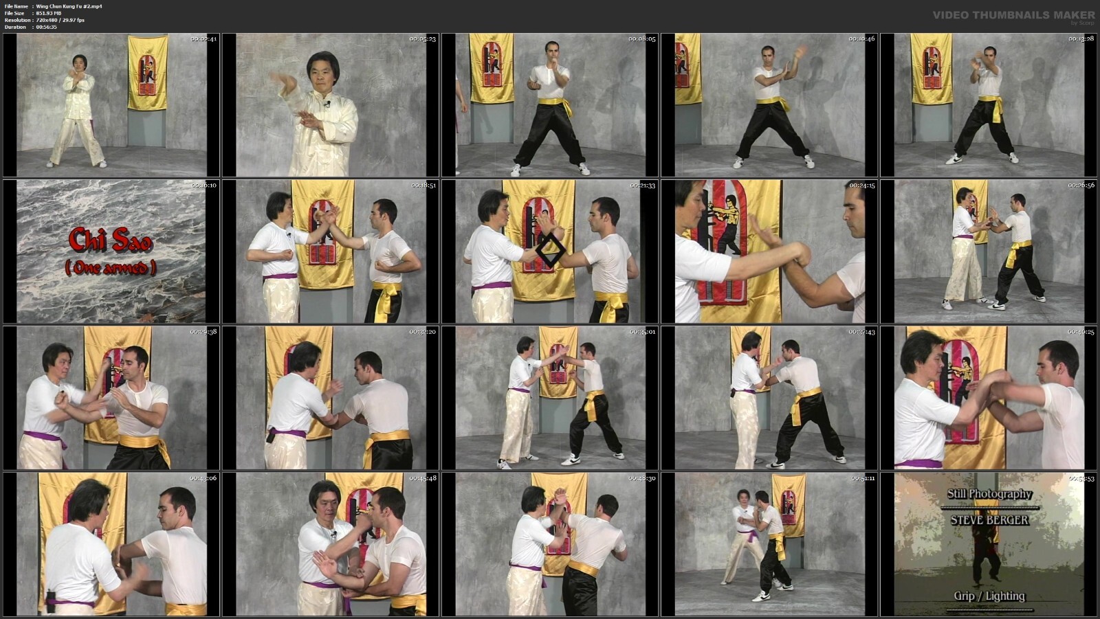 Wing Chun Kung Fu starring William Cheung (5 DVD Set)