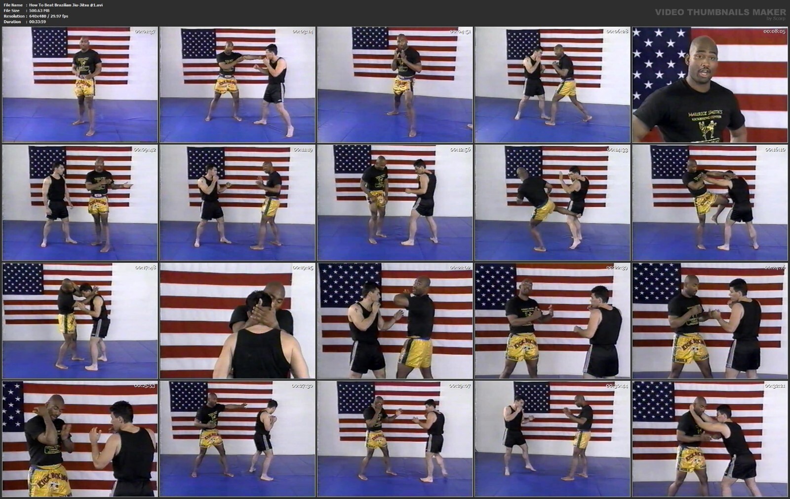 How to Defeat Brazilian Jiu Jitsu starring Maurice Smith (4 DVD Set)