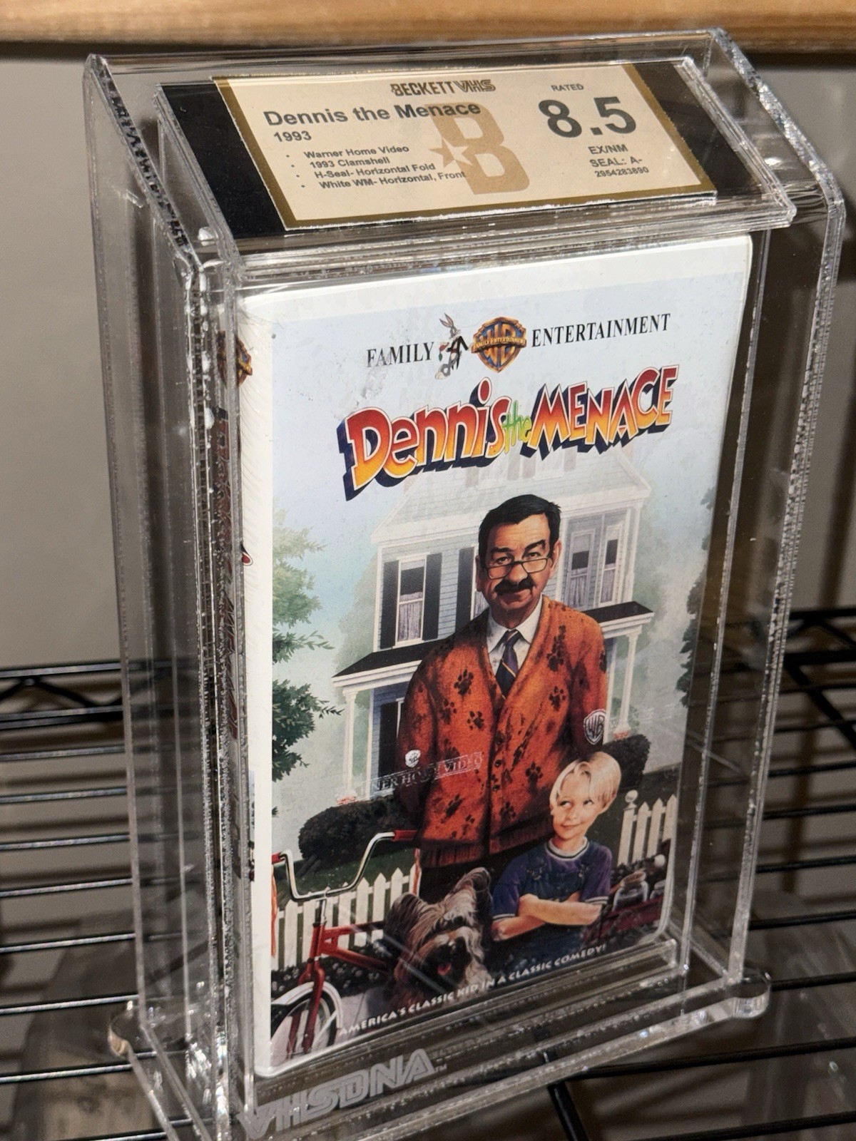 Dennis the Menace (VHS, 1993)