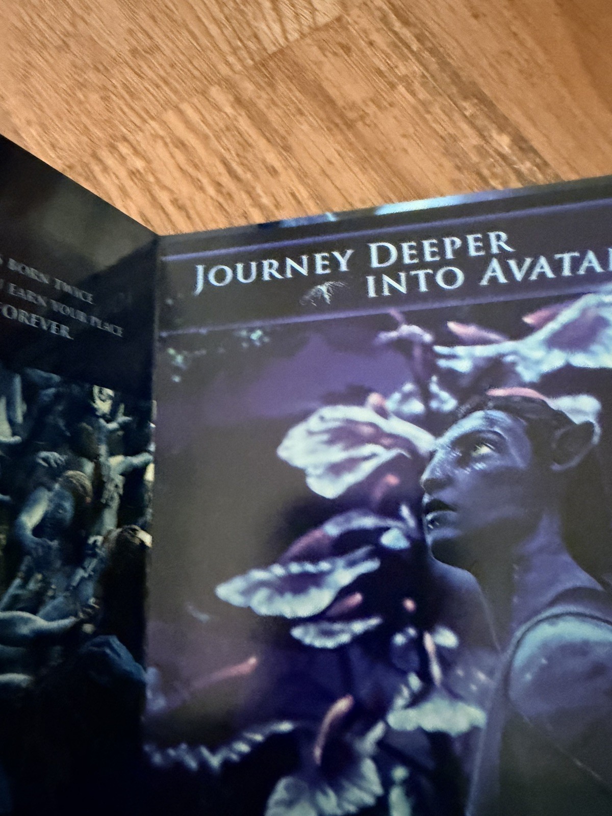 Avatar Extended Collector’s Edition Blu-ray 3-Disc Set James Cameron