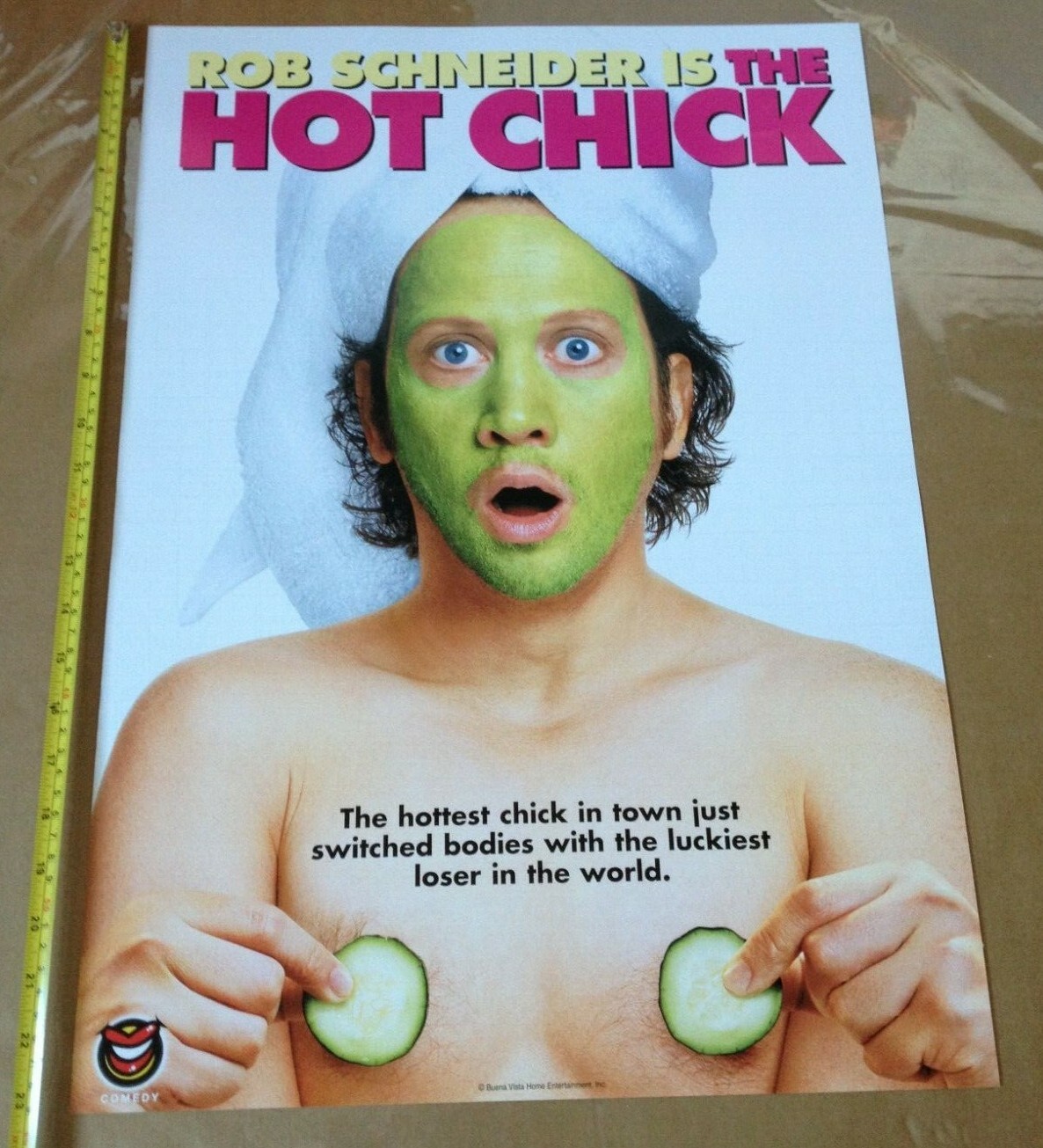 THE HOT CHICK Rob Schneider ORIGINAL POSTER Video Shop DVD VHS