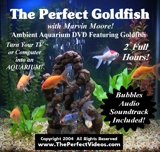 Virtual AQUARIUM DVD Fish Tank Video Real Goldfish with Bubbles Audio Soundtrack