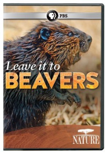 Nature: Leave It to Beavers [New DVD]