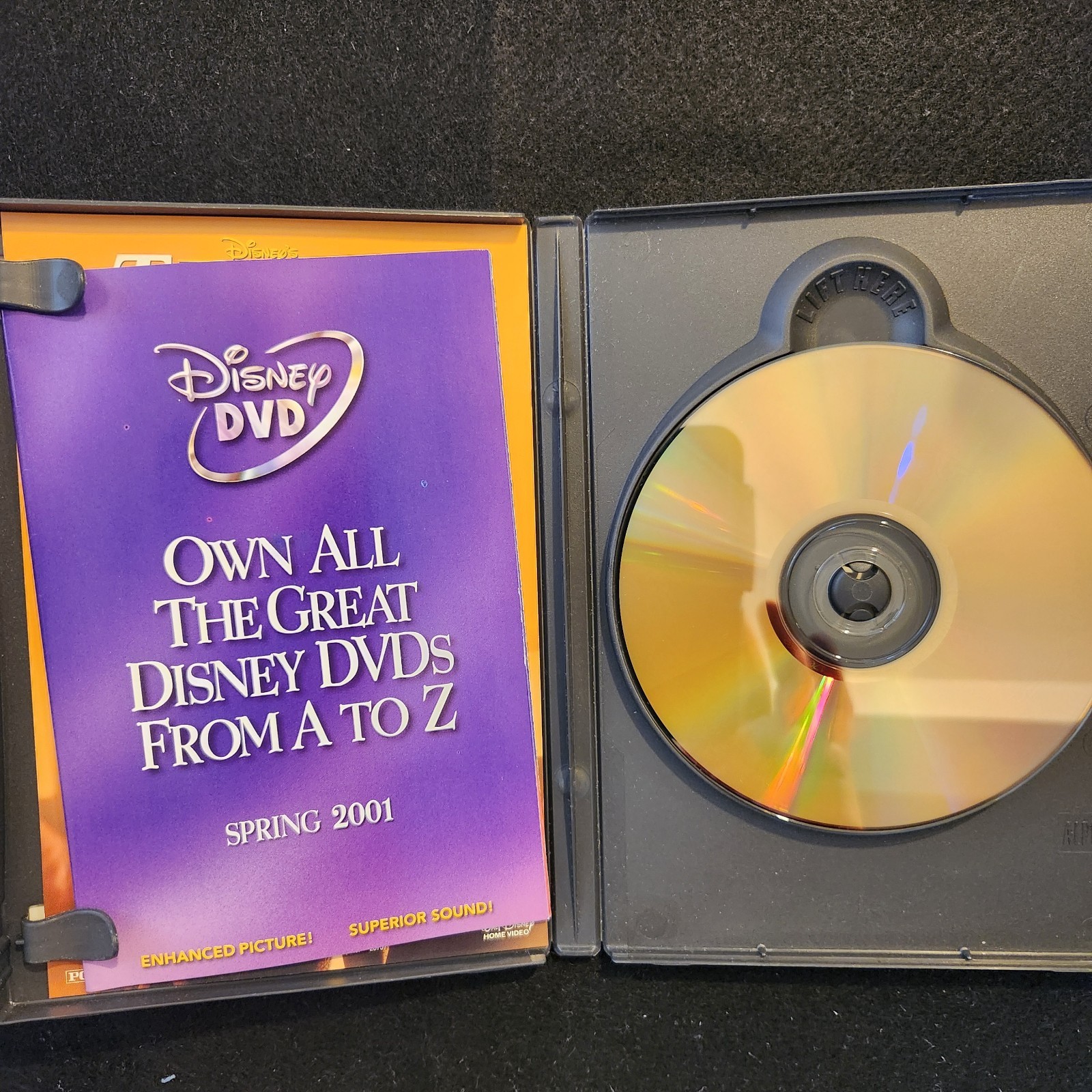 The Kid (DVD, 2000)