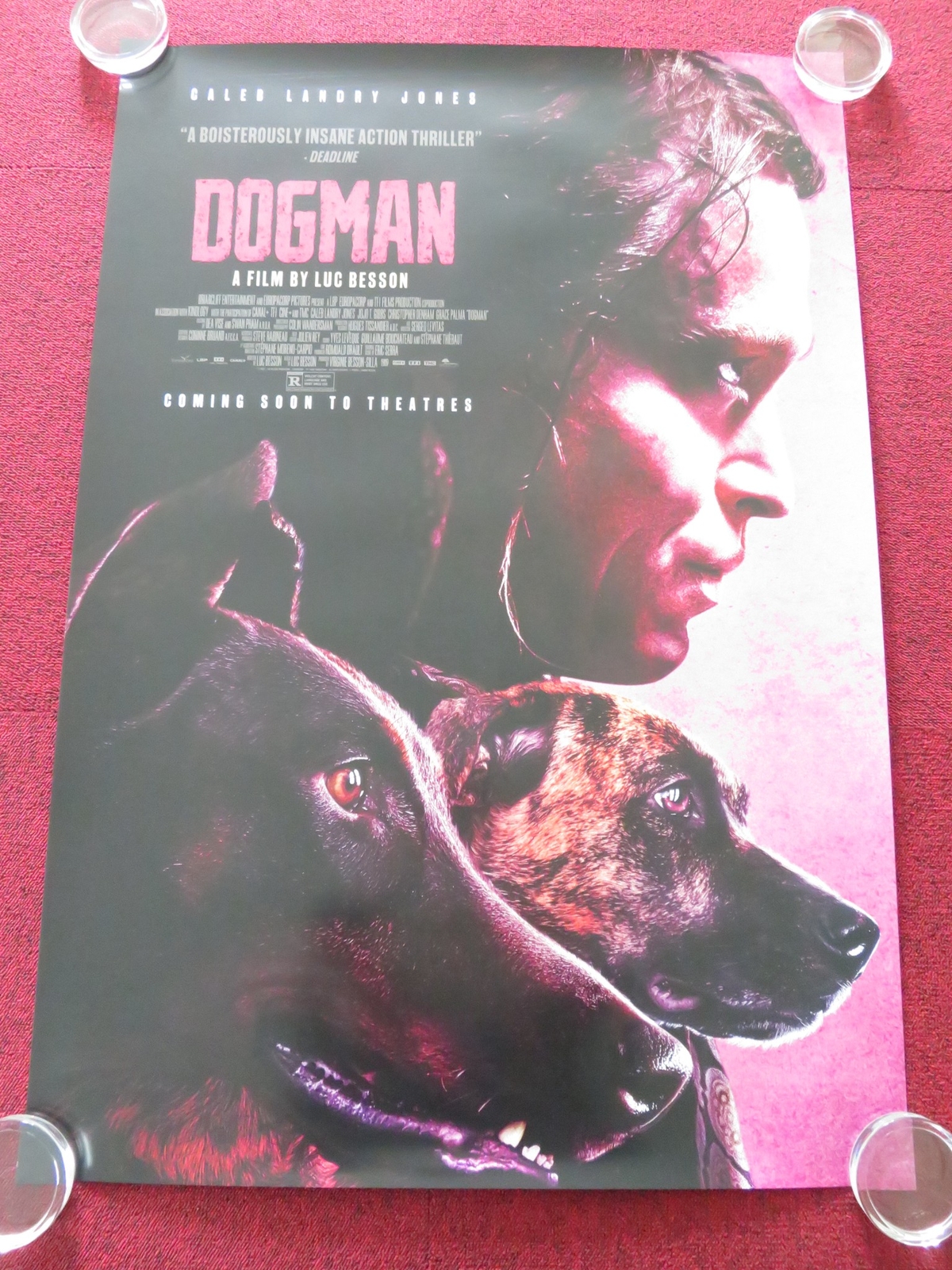 DOGMAN US ONE SHEET ROLLED POSTER CALEB LANDRY JONES JOJO T. GIBBS 2023
