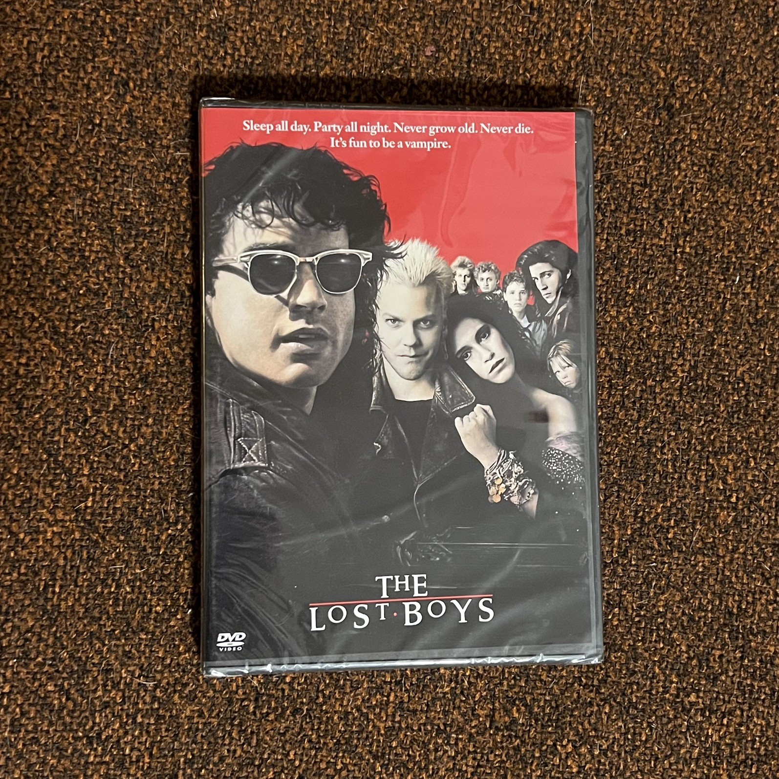 The Lost Boys DVD Corey Feldman Jami Gertz Thriller NEW SEALED