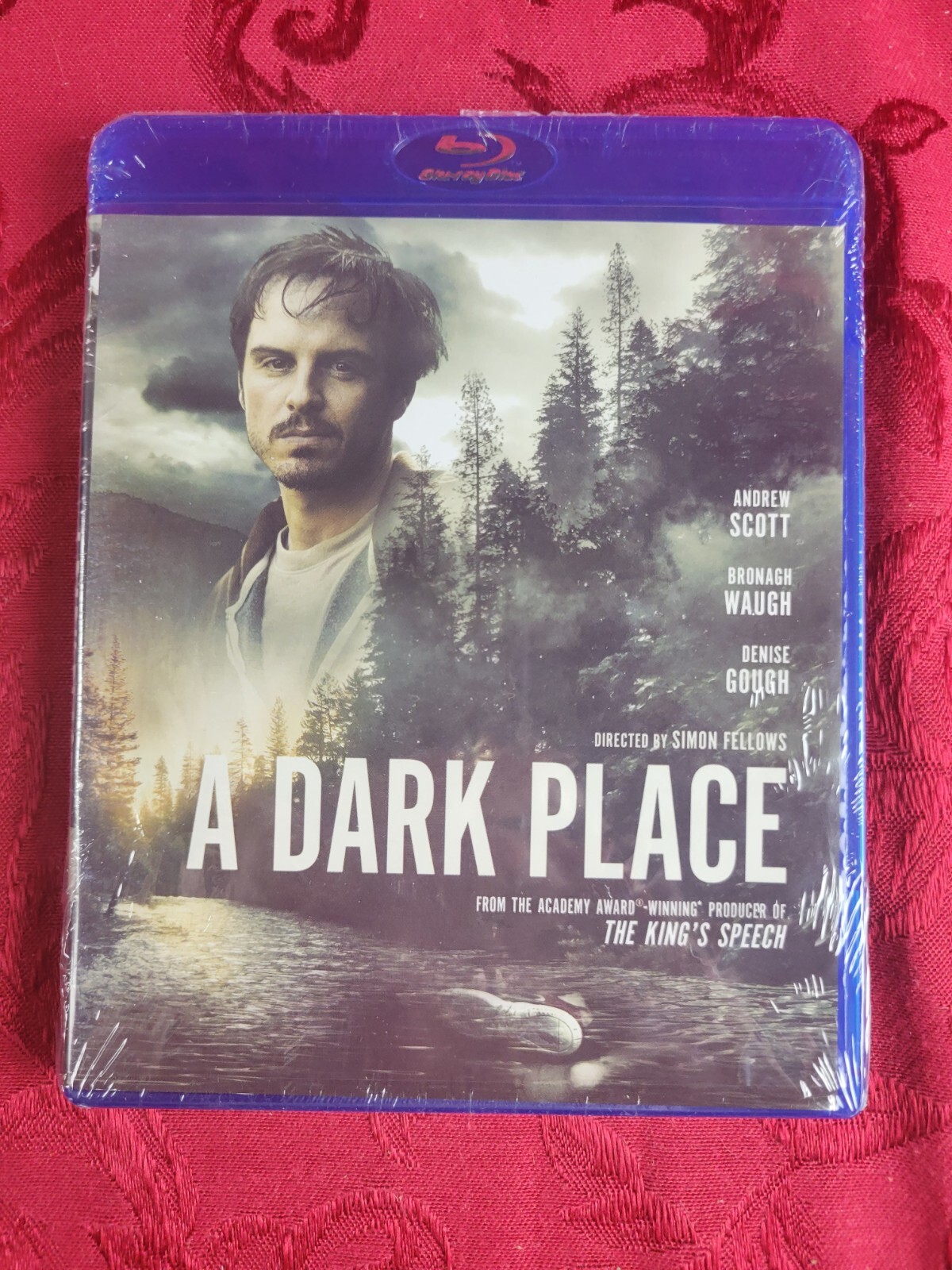 A DARK PLACE (2017) SHOUT FACTORY, Simon Fellows, Andrew Scott