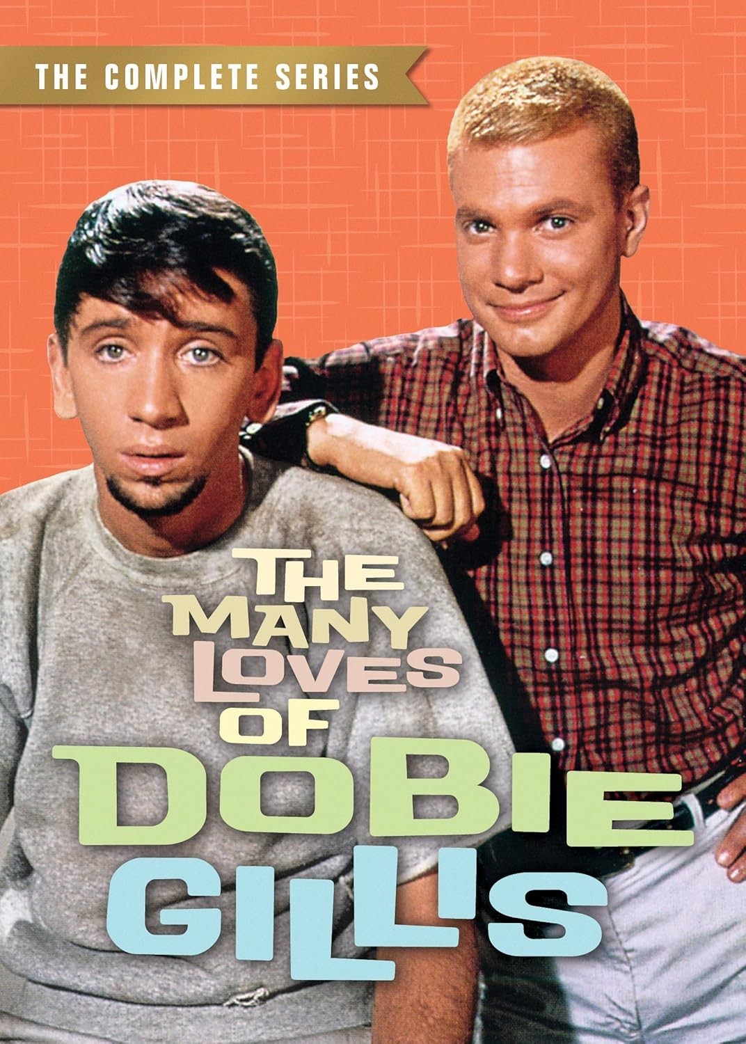 The Many Loves of Dobie Gillis Complete Series Seasons 1-4 DVD Set NEW