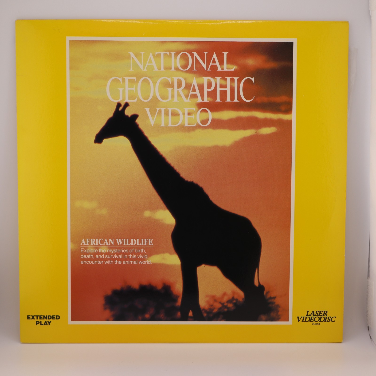 National Geographic: The Sharks / Land of the Tiger / African Wildlife LASERDISC
