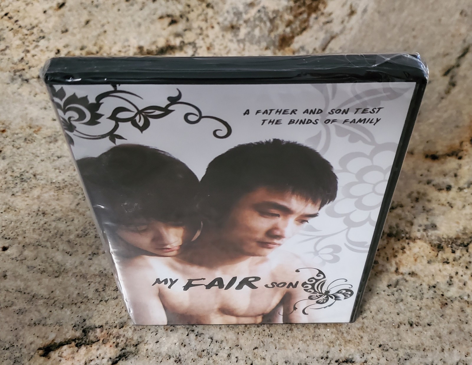 MY FAIR SON DVD RARE OOP GAY MALE LIFE IN CHINA RELATIONSHIP DRAMA LGBTQ NEW 🌈