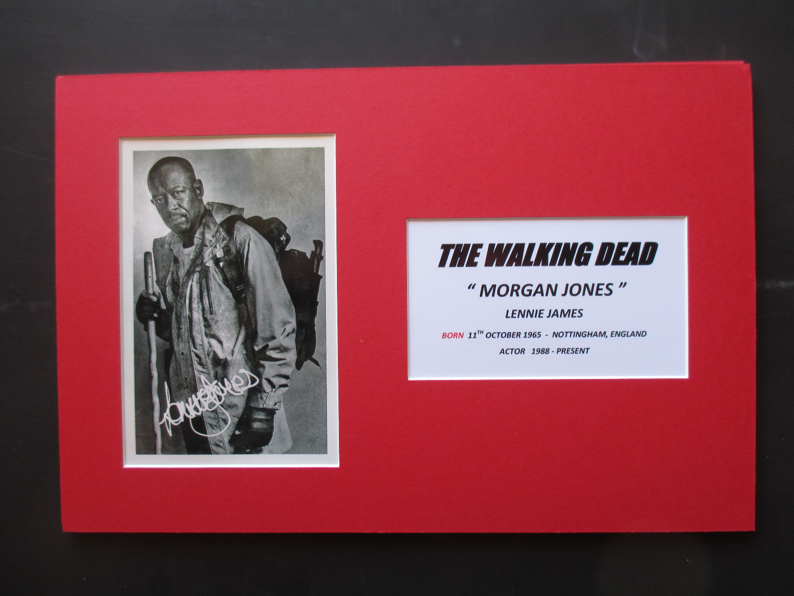 THE WALKING DEAD “MORGAN JONES” – LENNIE JAMES SIGNED PRINTED A4 MOUNTED PHOTO