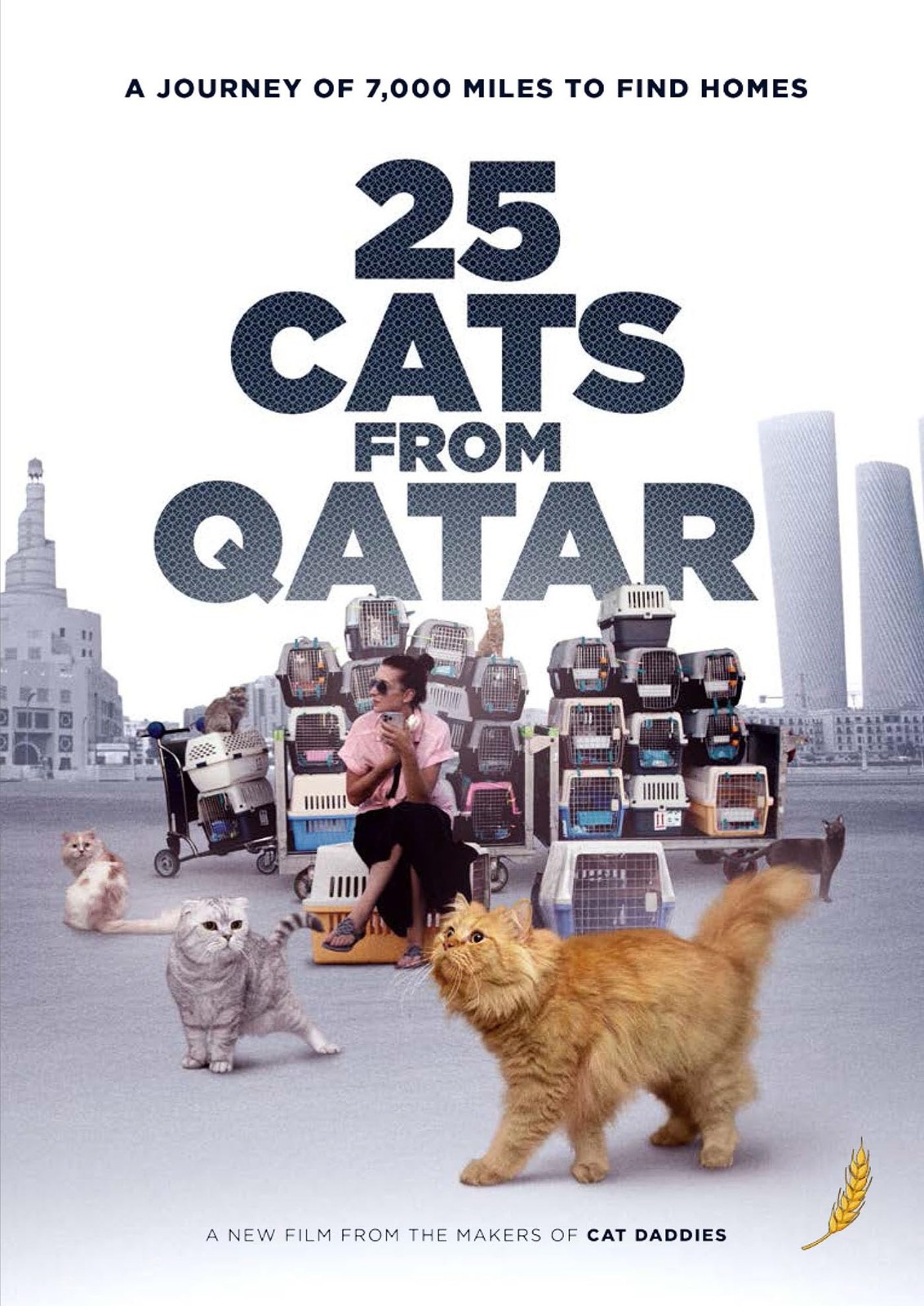 25 Cats From Qatar (DVD) various Mye Hoang