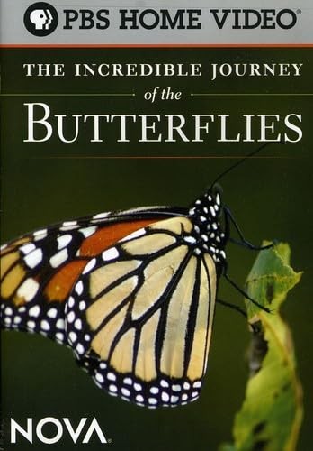 The Incredible Journey of the Butterflies – DVD By n/a – GOOD